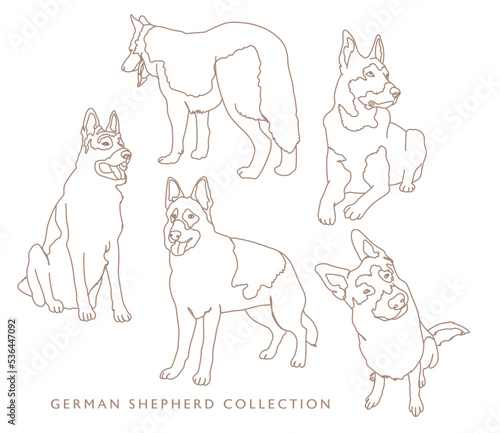 German Shepherd Illustration Collection - Various Poses - Outline