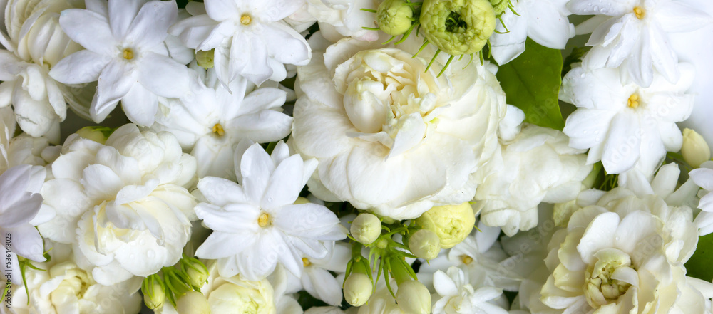 Fresh Jasmine from the garden