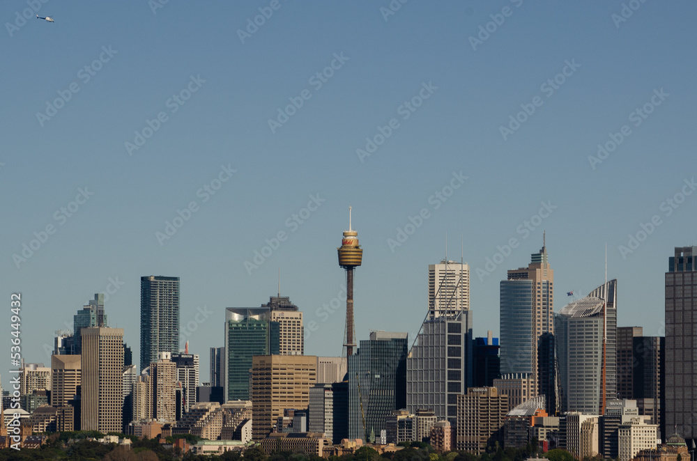 Fototapeta premium The Sydney Skyline 