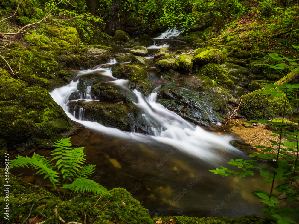 Obraz premium waterfall in the forest