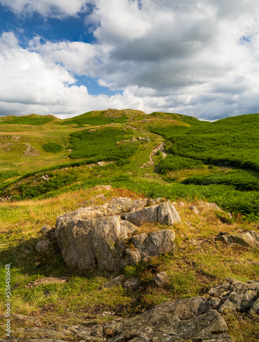 Vertical View of Loughrigg Fell