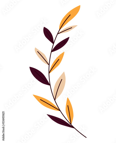 fall branch illustration