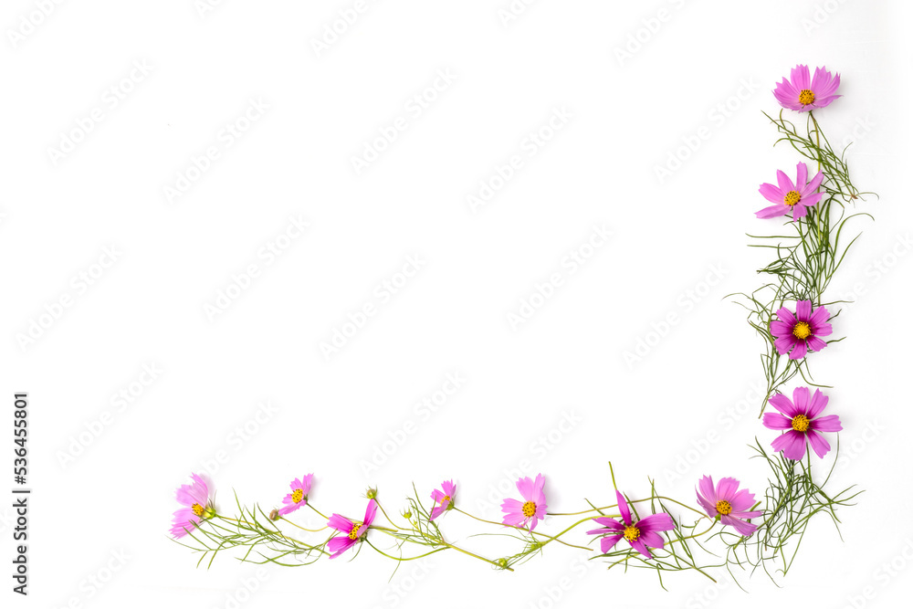 花のフレーム frame with typical beautiful flowers 花のフレーム frame with typical beautiful flowers