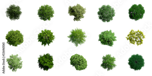 Collection of 3D Top view Green Trees Isolated on PNGs transparent background , Use for visualization in architectural design or garden decorate 