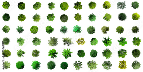 Collection of 3D Top view Green Trees Isolated on PNGs transparent background   Use for visualization in architectural design or garden decorate 