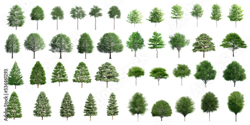 Collection Beautiful 3D Trees Isolated on PNGs transparent background , Use for visualization in architectural design or garden decorate	