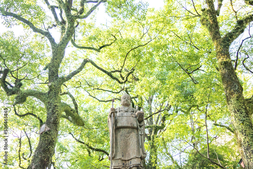 Fototapeta premium 神社 石像