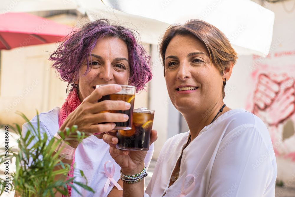 Breast Cancer Awareness Day concept. Two smiling women celebrating and toasting overcoming breast cancer with a glass. Pink October Breast Cancer Awareness Day concept. Two smiling women celebrating and toasting overcoming breast cancer with a glass. Pink October