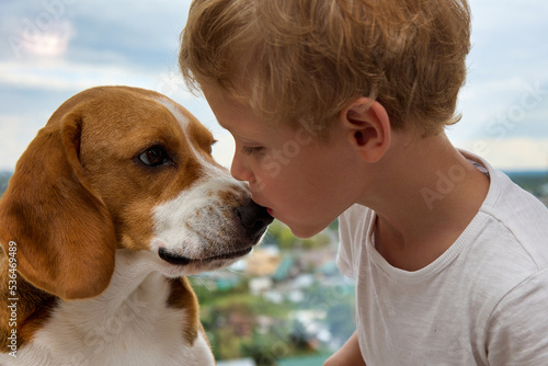 Little Caucasian boy kisses the nose of his devoted dog friend. Love and true friendship between a child and a hunting dog