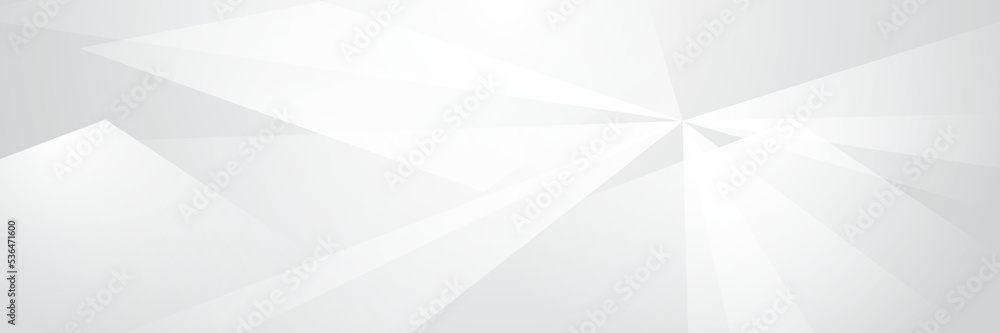 elegant abstract white banner background with shiny lines