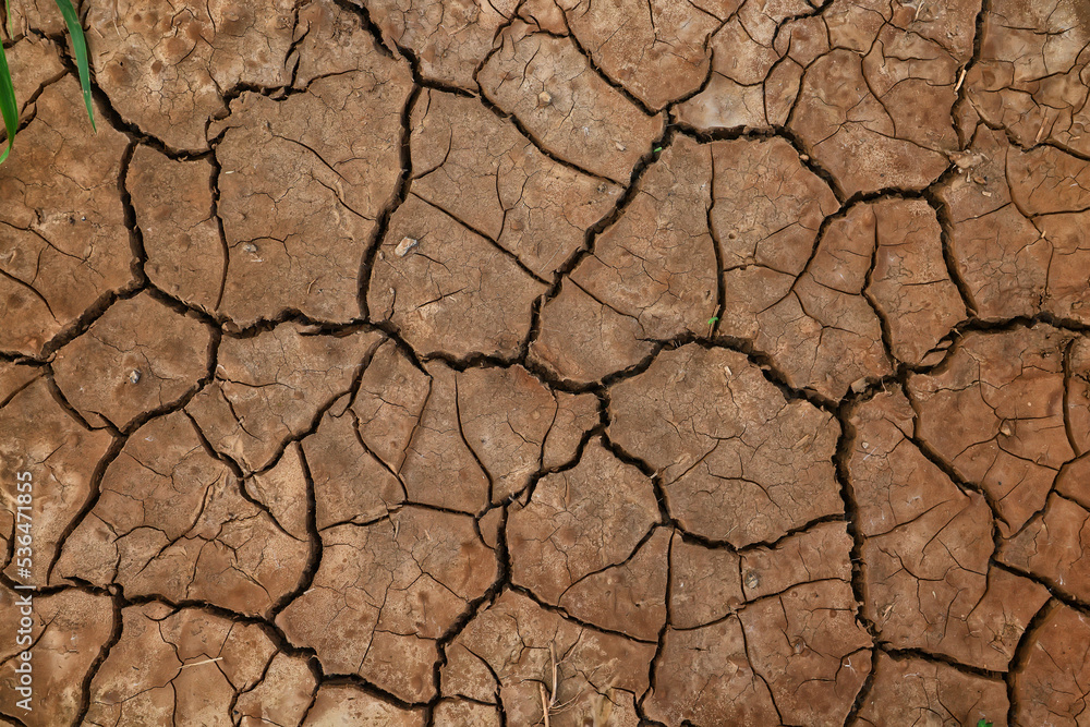 Fototapeta premium cracks on the ground desert texture background earth climate ecology