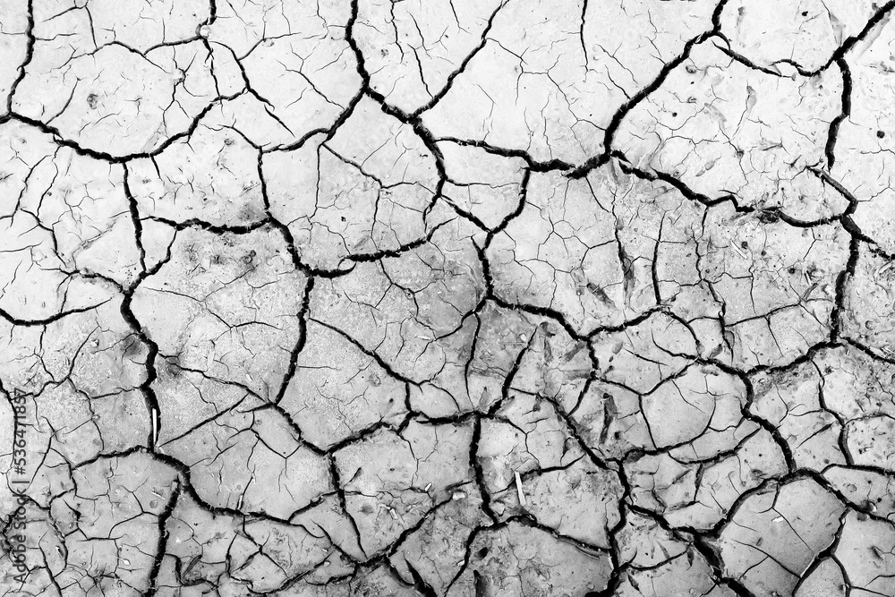 cracks on the ground desert white abstract background cracks on the ground desert white abstract background