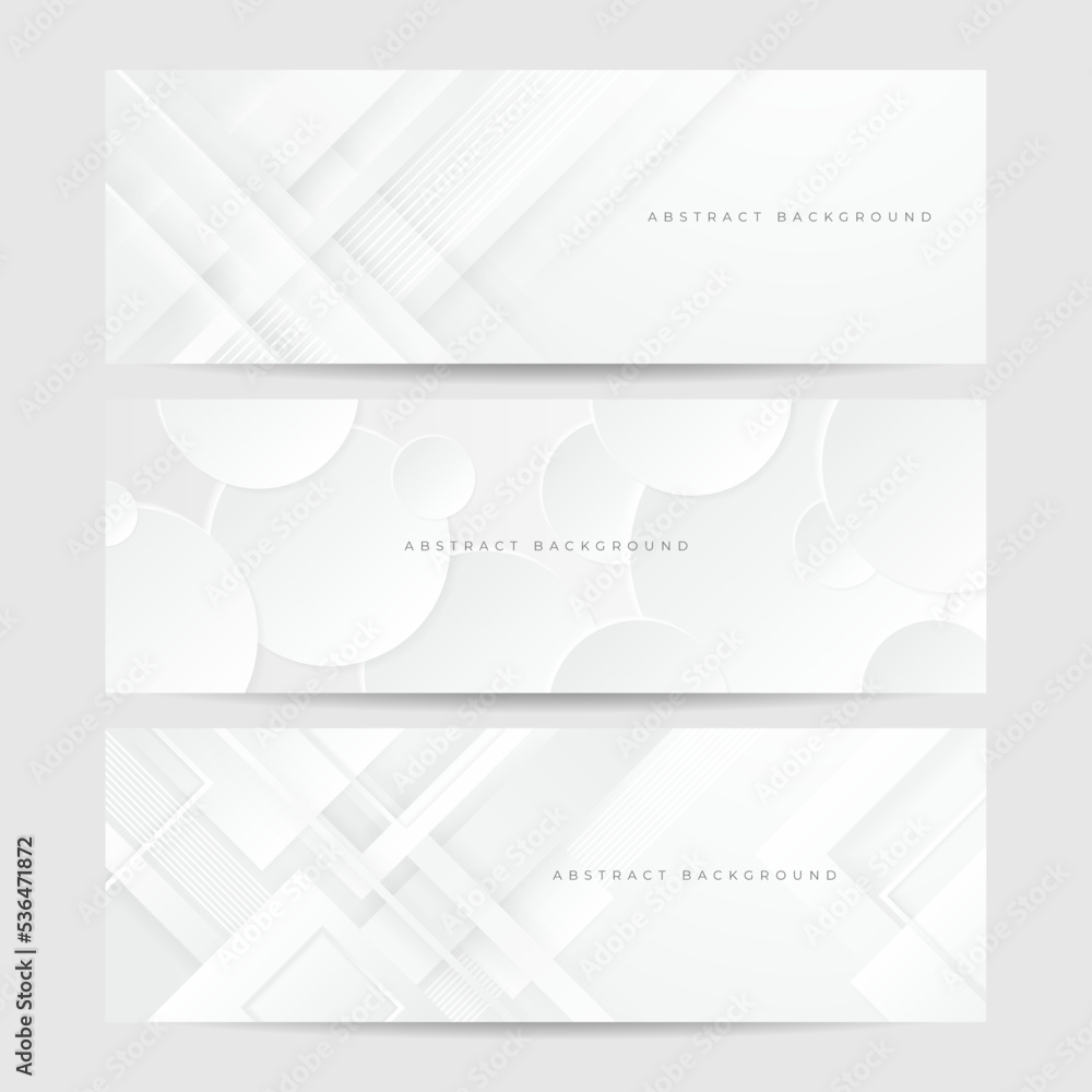 Fototapeta premium elegant abstract white banner background with shiny lines
