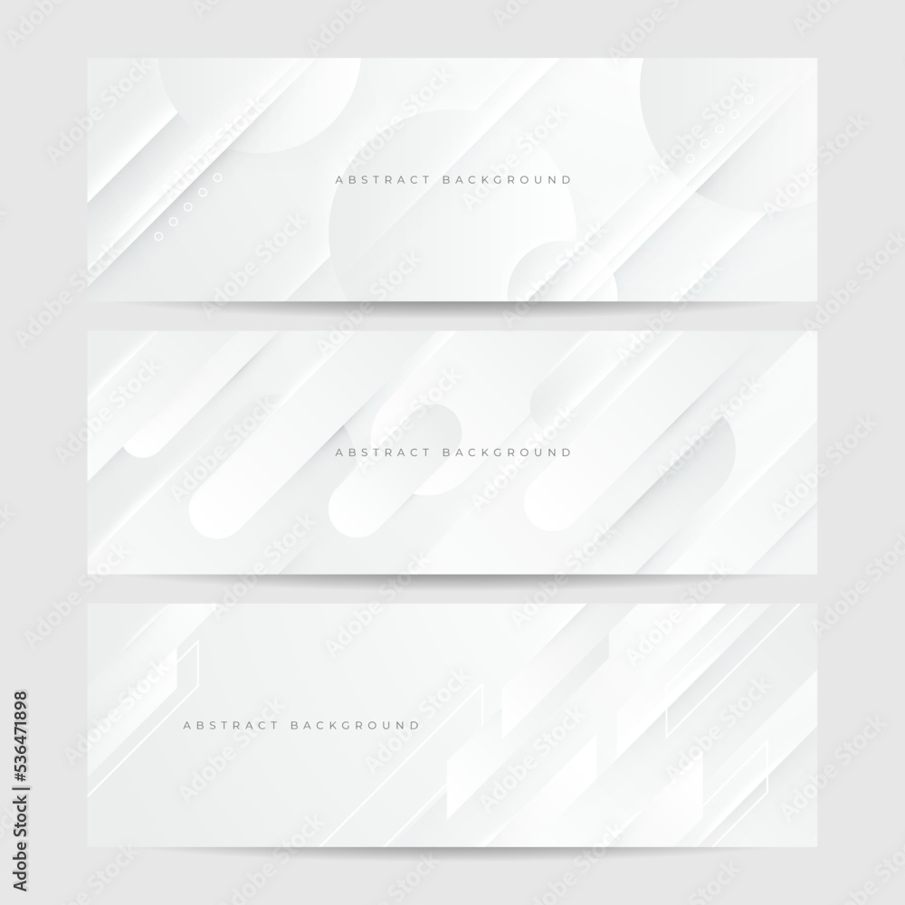 Fototapeta premium elegant abstract white banner background with shiny lines