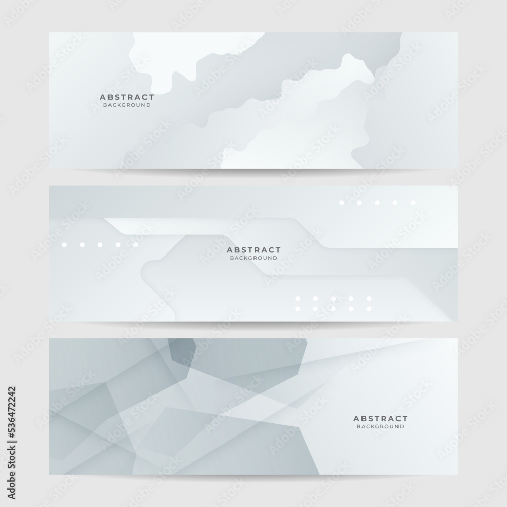 Fototapeta premium elegant abstract white banner background with shiny lines