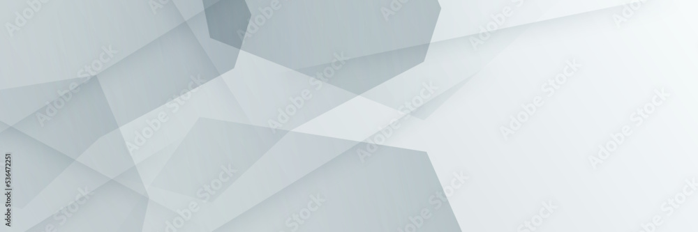 Fototapeta premium elegant abstract white banner background with shiny lines