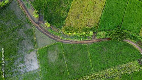 Aerial view of rice fields or agricultural areas affected by rainy season floods. Top view of a river overflowing after heavy rain and flooding of agricultural fields.