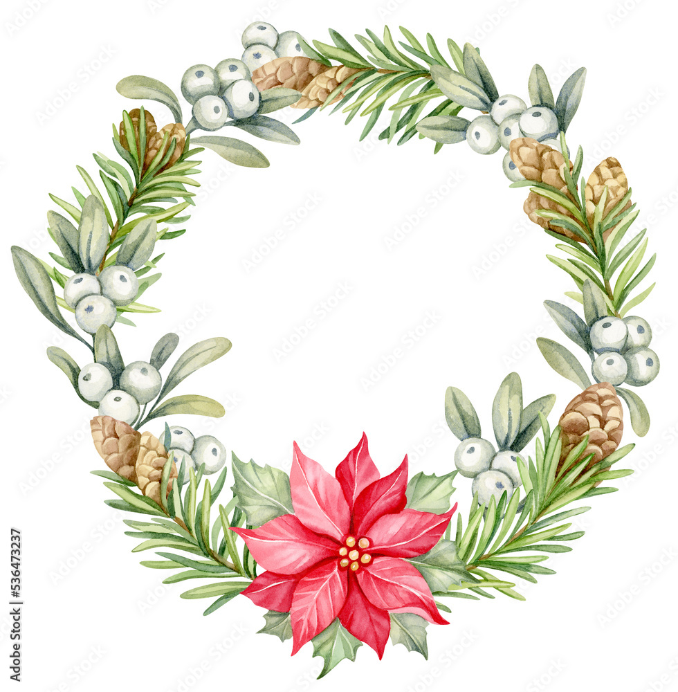 Christmas floral wreath with pine branches, mistletoe and red poinsettia flower. Hand painted watercolor illustration.