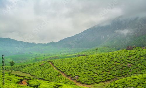Munnar, the famed hill station of south India, is a romantic locale where natural beauty is everywhere to visit, explore and to enjoy. Munnar is situated at the confluence of three mountain streams