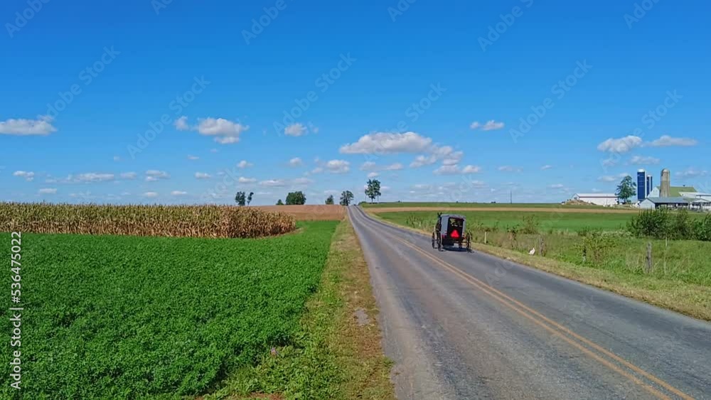 An Amish Horse and Buggy Trotting Away Down a Country Road An Amish Horse and Buggy Trotting Away Down a Country Road
