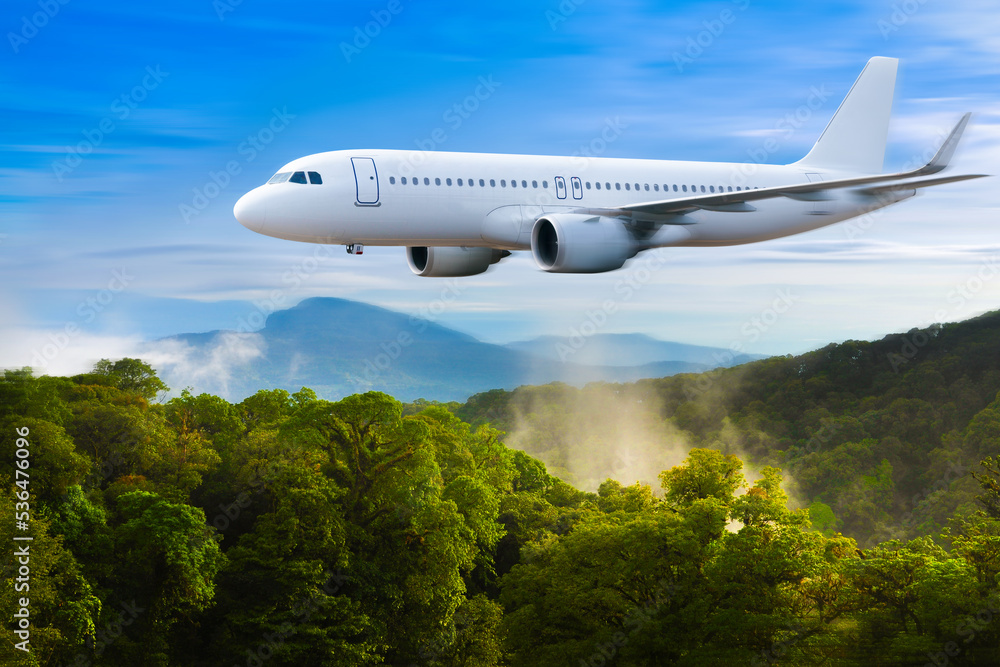 Fototapeta premium Commercial airplane above in summer season and blue sky over beautiful scenery nature background,concept business travel and transportation summer vacation travel.