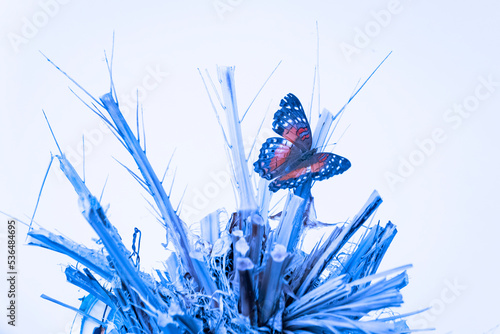 butterfly in blue
