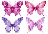 Set of butterflies isolated on a white background. Watercolor Illustration
