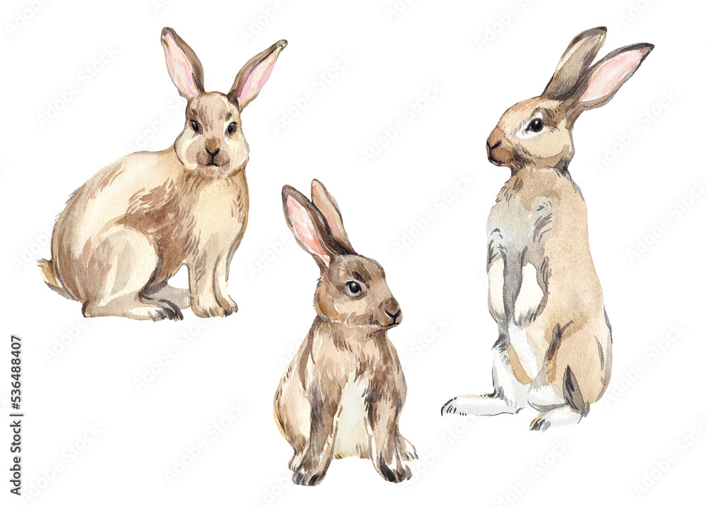 Set of little bunnies on an isolated white background, watercolor illustration, cute animal, easter bunny. rabbits. Symbol of the year 2023, New Year