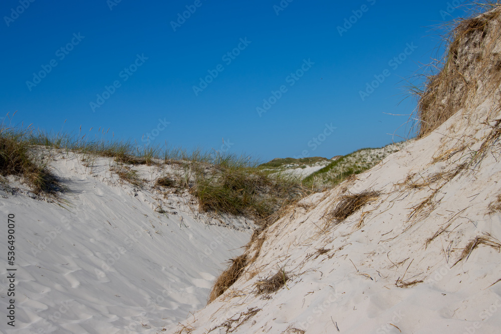 Dune landscape on the island of Amrum Dune landscape on the island of Amrum