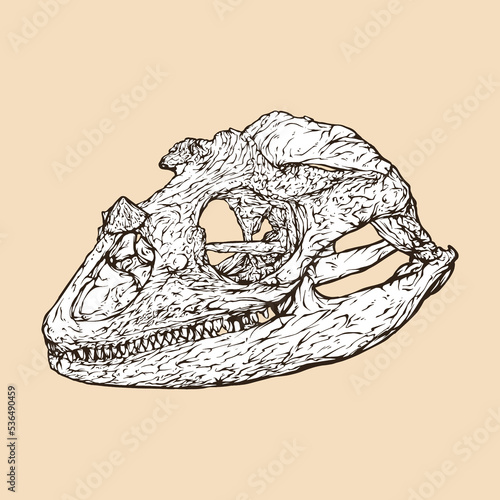 rhino iguana skull head vector illustration