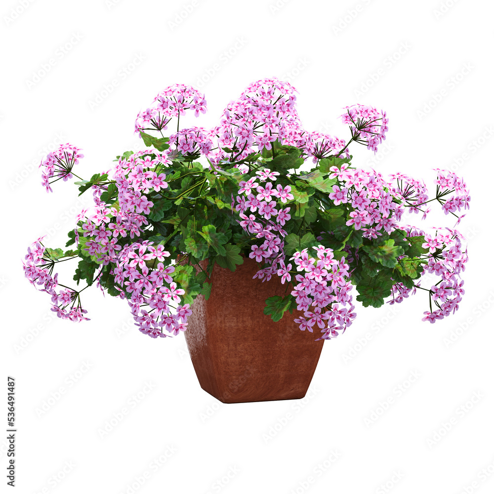 decorative flower in a pot isolate on a transparent background, 3D illustration, cg render