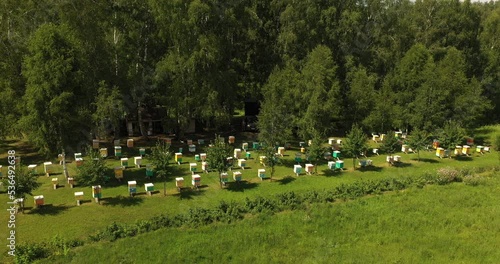 Aerial view of colorful beehives in a beehive farm. Many hives for collecting nectar by bees, natural honey extraction in the village