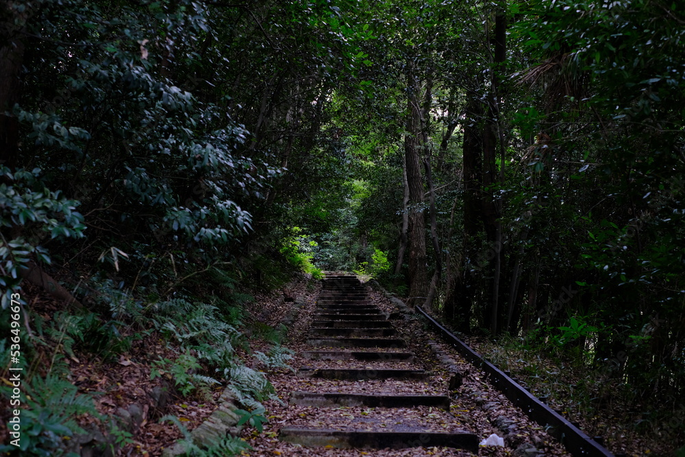 山中への入り口 山中への入り口