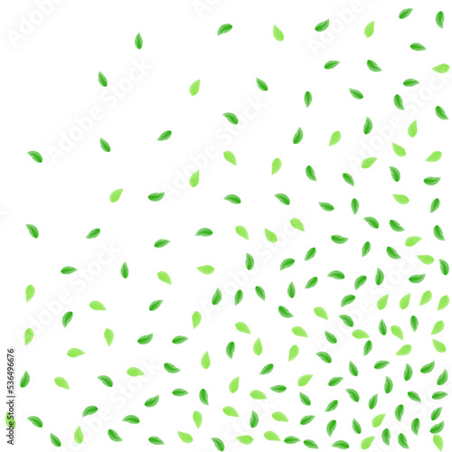 Greenish Vegetation Background White Vector. Greenery Forest Illustration. Botanical Texture. Light Green Falling Frame. Leaf Creative.