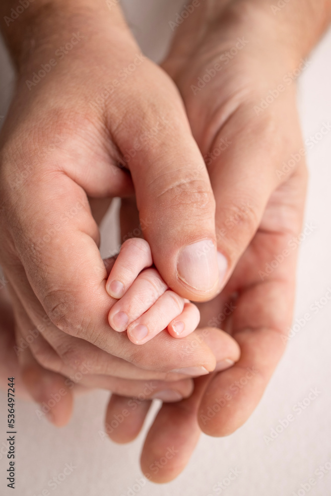 The hand of a sleeping newborn in the hand of parents, mother and father close-up. Tiny fingers of a newborn. The family is holding hands. Studio macro photography. Concepts of family and love. The hand of a sleeping newborn in the hand of parents, mother and father close-up. Tiny fingers of a newborn. The family is holding hands. Studio macro photography. Concepts of family and love.