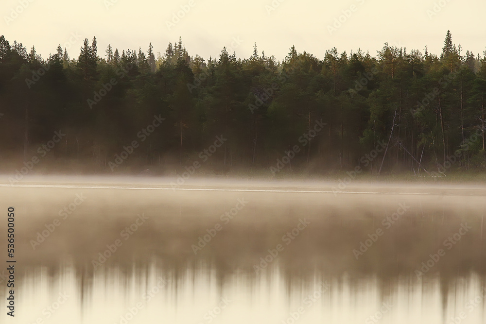 Fototapeta premium water texture background blue nature abstract