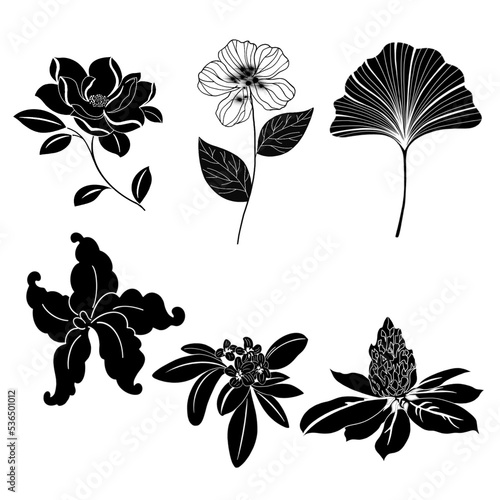 Silhouette of leaves and flowers isolated on black background