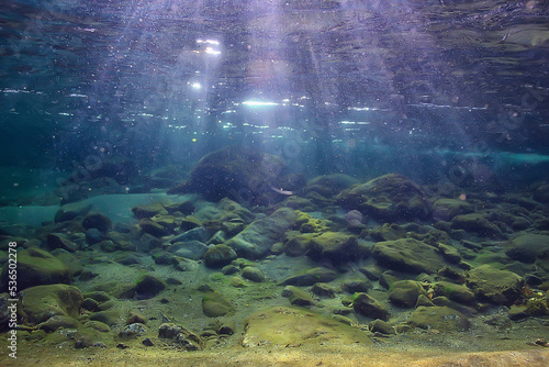 underwater fresh water landscape  mountain lake ecosystem background in summer  under water view