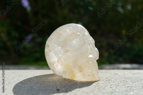 Crystal skull near house in front of garden.