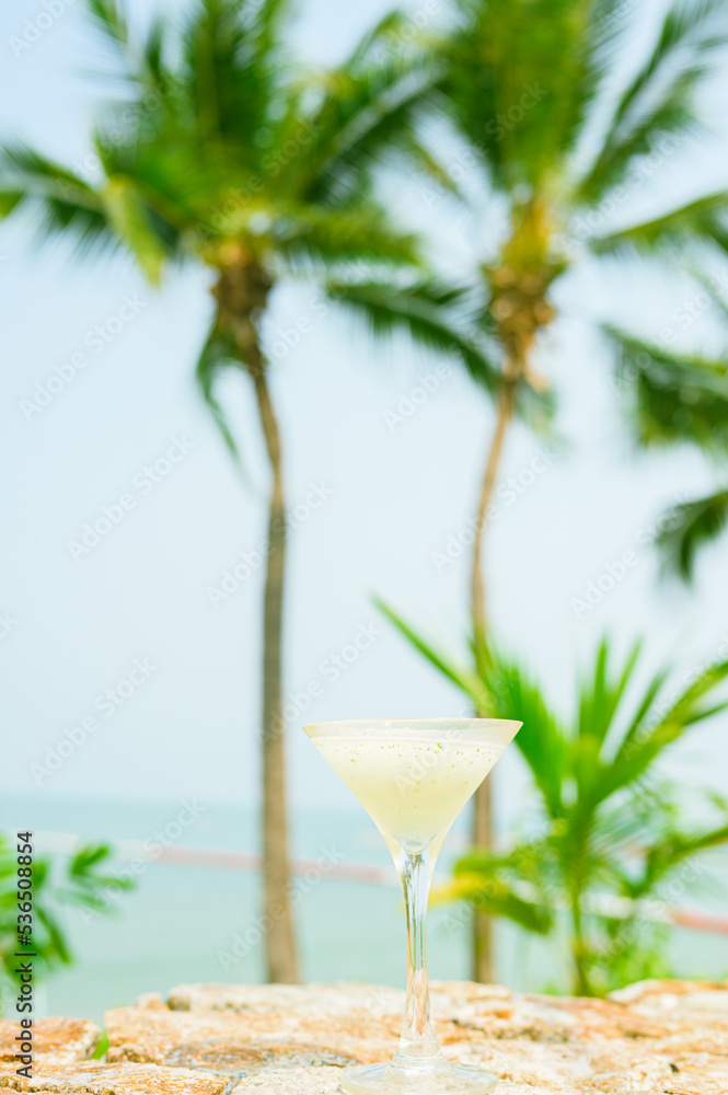 Summer ice drinks with palm leaves on background,cocktail