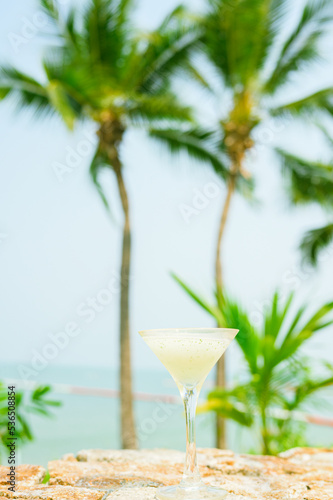 Summer ice drinks with palm leaves on background,cocktail