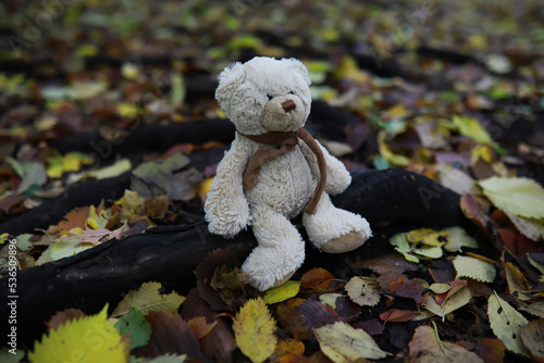 Adorable brown stuffed toy teddy bear with yellow maple leaf on head sits on dry orange leaves pile on ground in autumn park on nice sunny day close view. back to school concept.