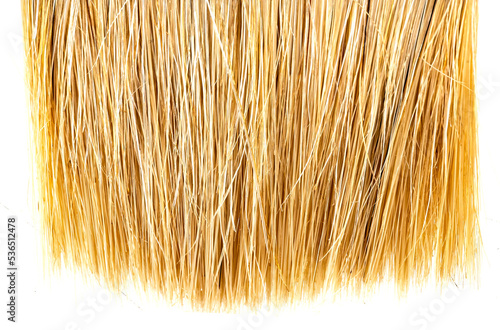 brush seta close up textures  photo