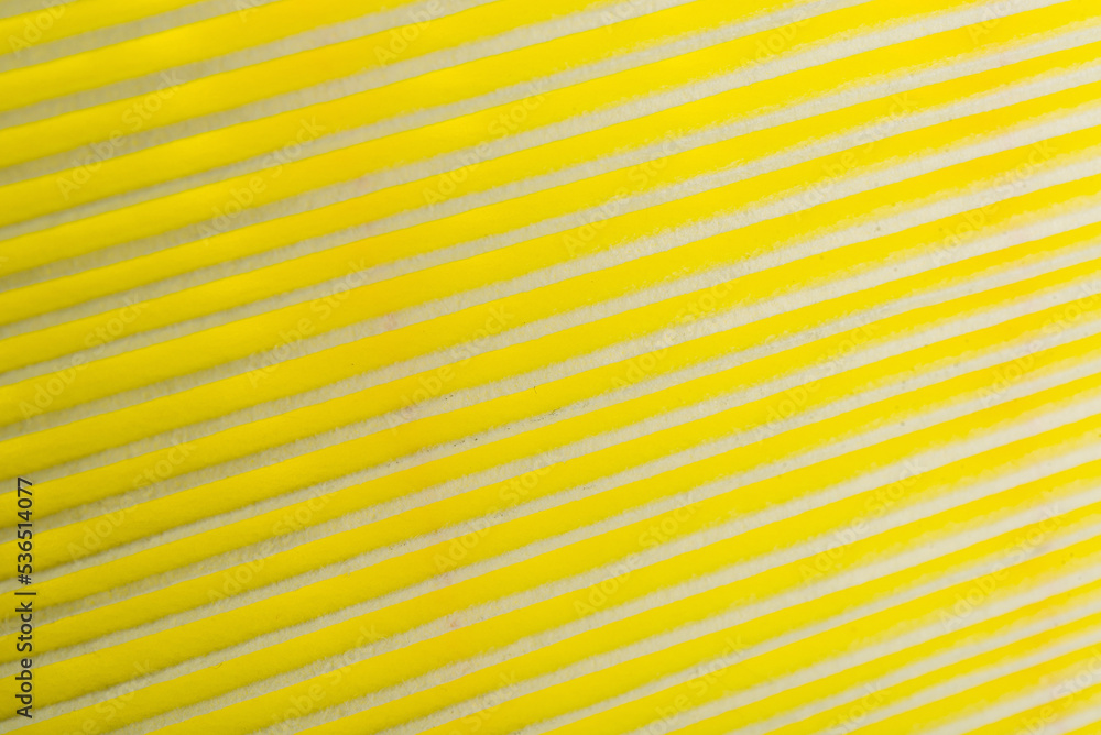 Obraz premium filter for car