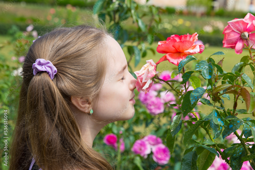 little girl smelling a rose little girl smelling a rose