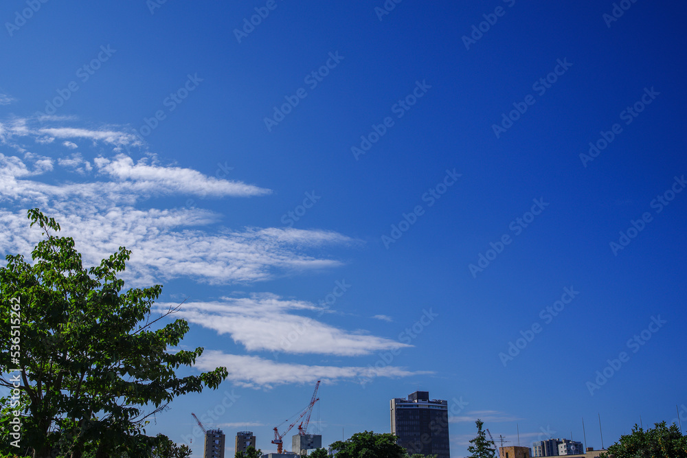 Fototapeta premium あおぞらと雲のある都市風景