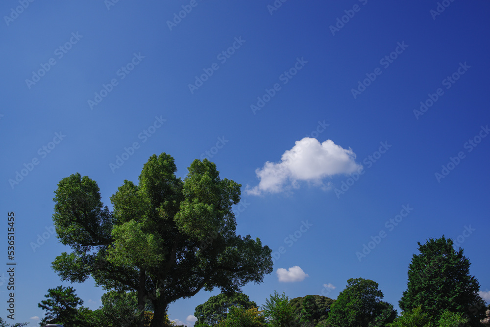 Obraz premium ぽっかりと浮かんだ雲