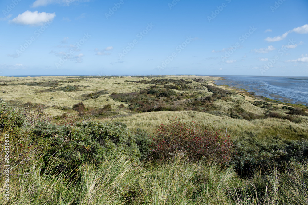 View over the northern end of Ameland island, the Netherlands. Dunes and grass landscape next to the northern sea. Sunny day over a dutch island. Perfect weather autumn landscape scene. View over the northern end of Ameland island, the Netherlands. Dunes and grass landscape next to the northern sea. Sunny day over a dutch island. Perfect weather autumn landscape scene.