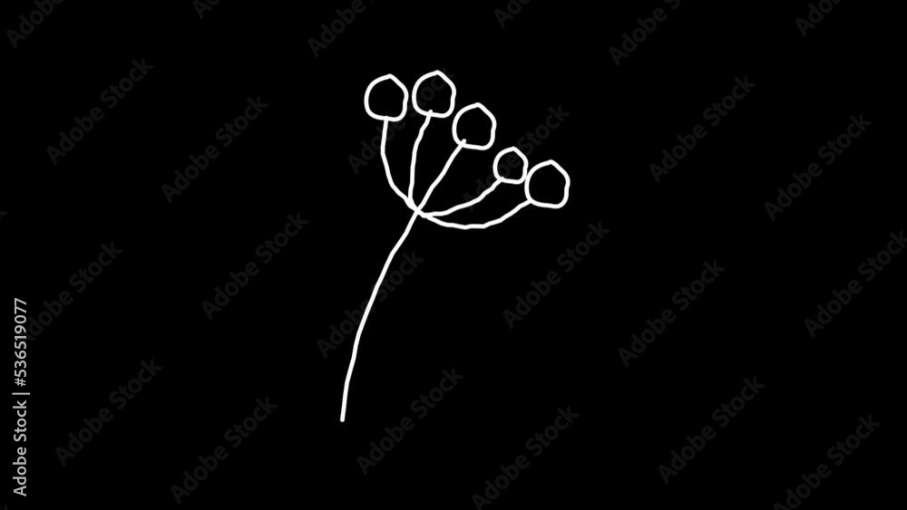 Flower Doodle Animation Alpha Background Flower Doodle Animation Alpha Background