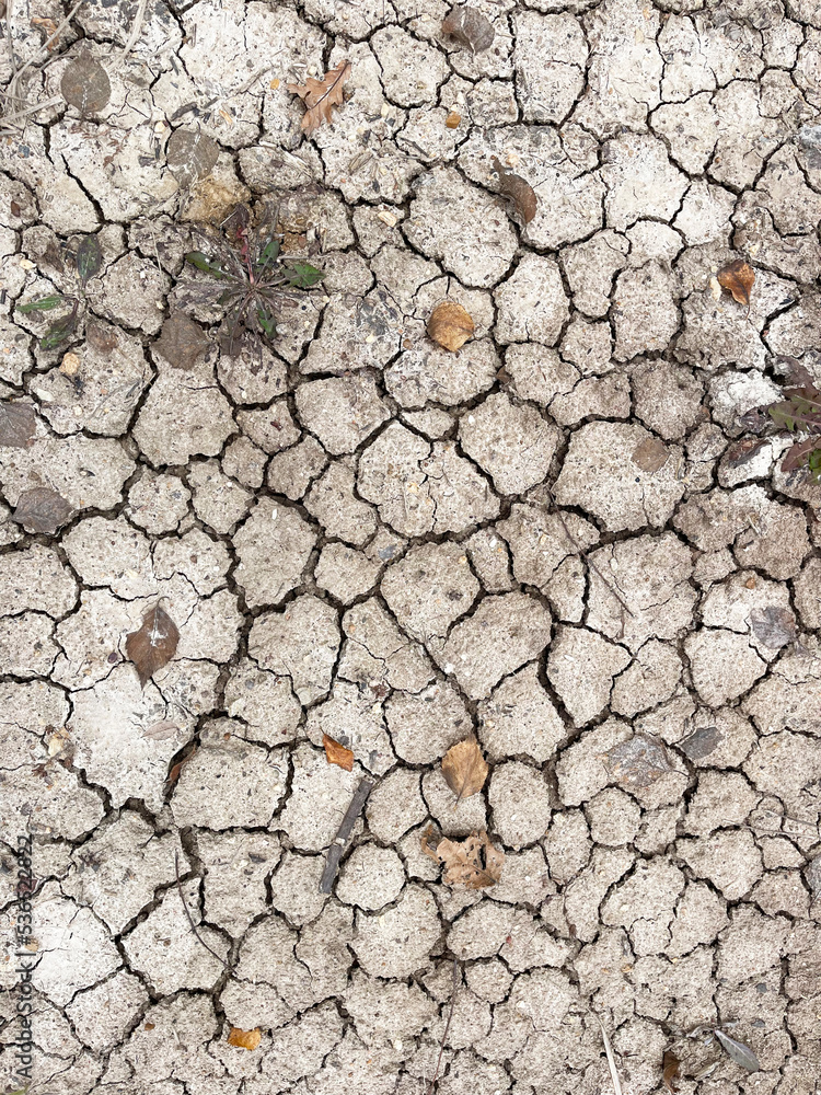 Background, cracked earth in autumn Background, cracked earth in autumn